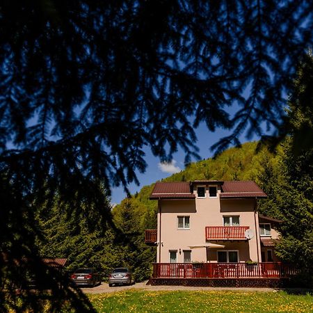 Cabana Zip Zărneşti Bagian luar foto