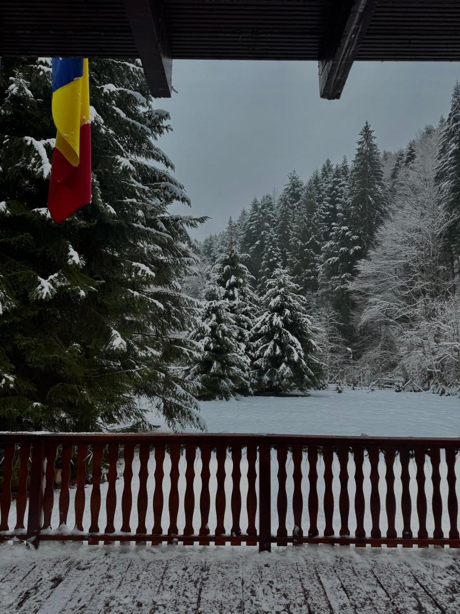 Cabana Zip Zărneşti Bagian luar foto