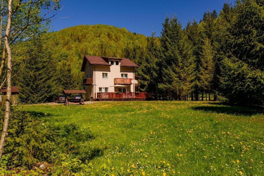 Cabana Zip Zărneşti Bagian luar foto
